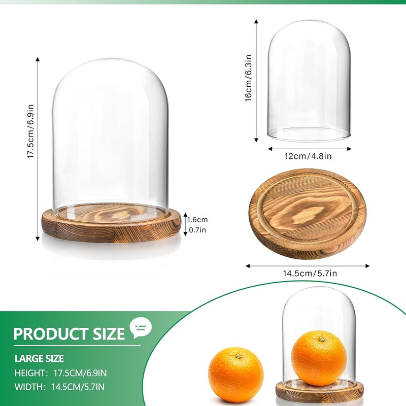ZEERSHEE Glass Cloche Display Dome Decorative Glass Display Bell Jar with Wooden Base for Home Party Wedding Decor（6.3''*4.8'' - Image 3